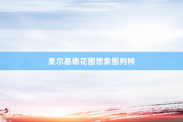 麦尔基德花圃想象图判辨