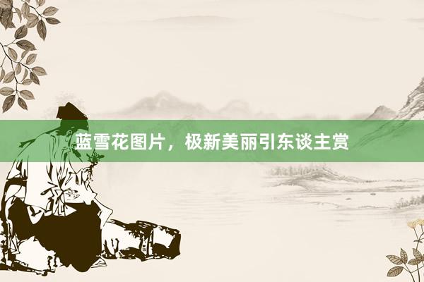 蓝雪花图片，极新美丽引东谈主赏