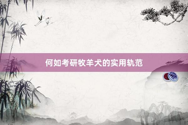 何如考研牧羊犬的实用轨范