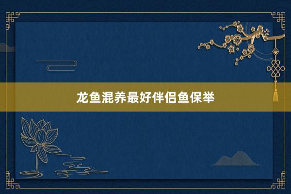 龙鱼混养最好伴侣鱼保举